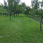 Kuca Za Odmor Amber * Bihać