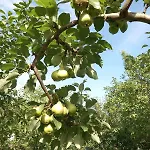 度假居 Kuca Za Odmor Amber Bihać