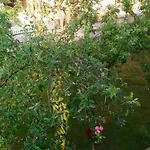 度假居 Kuca Za Odmor Amber Bihać
