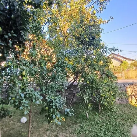 Kuca Za Odmor Amber * Podastrana