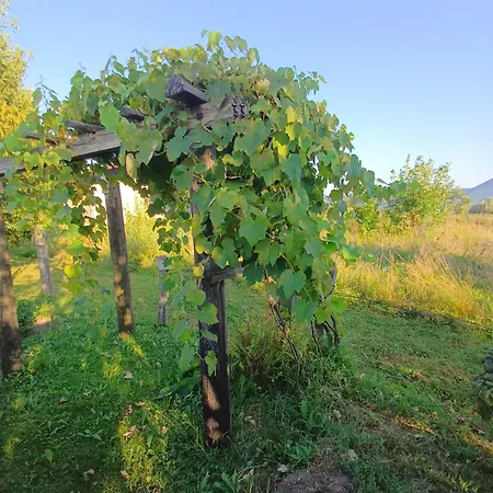 Holiday home Kuca Za Odmor Amber Podastrana