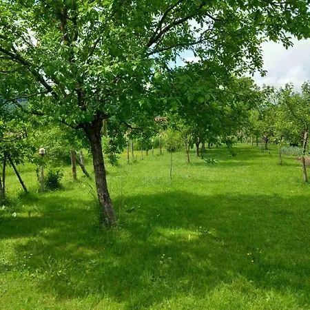 Kuca Za Odmor Amber Podastrana