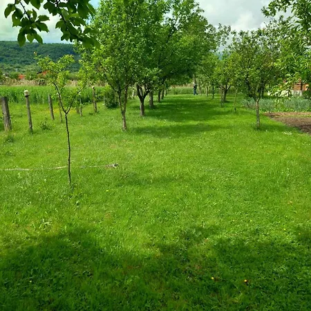 Kuca Za Odmor Amber