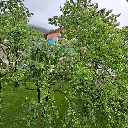 Dom wakacyjny Kuca Za Odmor Amber *