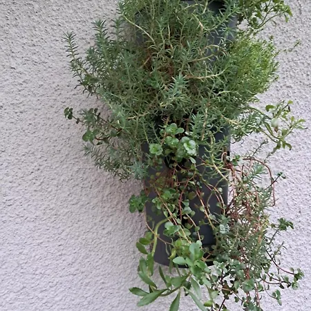 Kuca Za Odmor Amber Dom wakacyjny