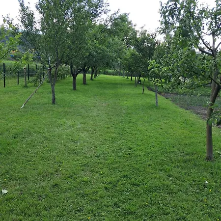 Kuca Za Odmor Amber * Bihać