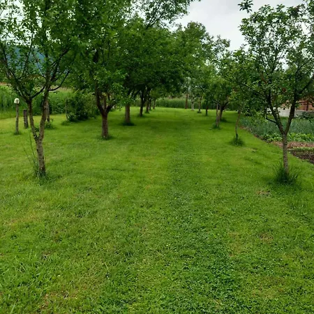 Kuca Za Odmor Amber Dom wakacyjny