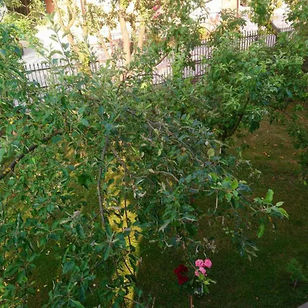 בית נופש Kuca Za Odmor Amber Bihać